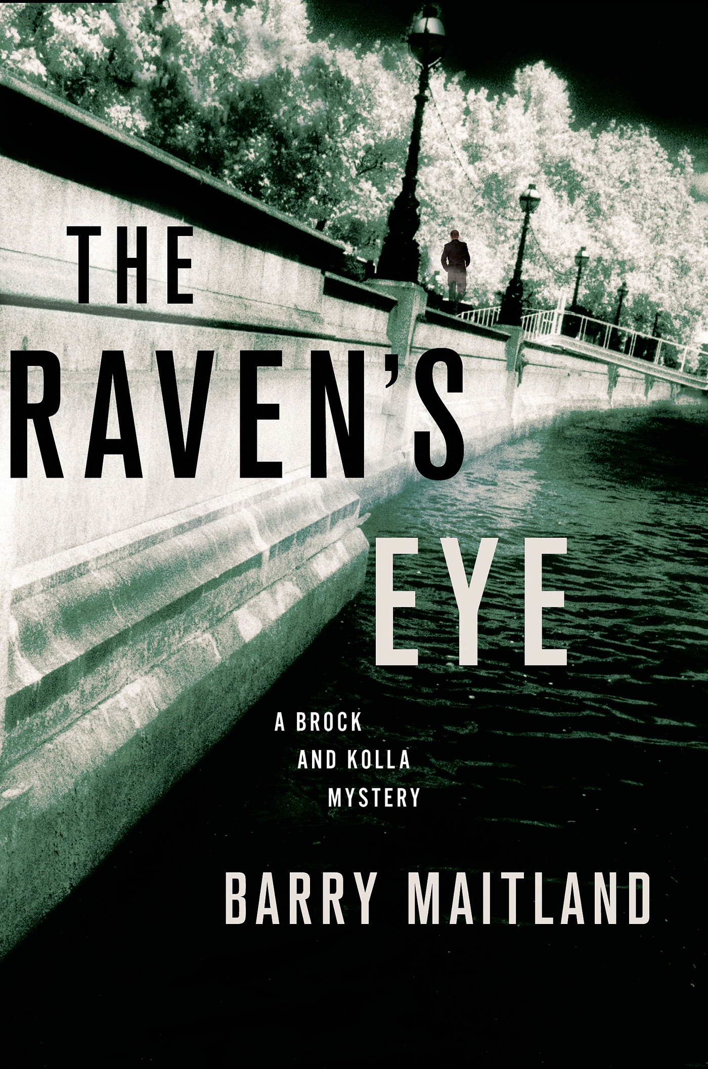 The Raven's Eye The Raven's Eye